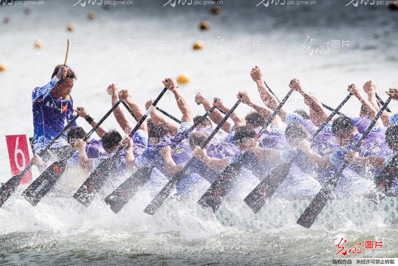 湖南龍船比賽視頻觀看與體驗(yàn)指南，精彩瞬間一網(wǎng)打盡！