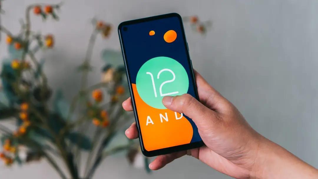 安卓最新系統(tǒng)版本，探索未來科技的無限潛力