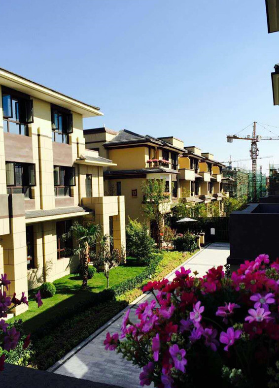 寶格麗小鎮(zhèn)最新資訊，學(xué)習(xí)變化，自信閃耀，共創(chuàng)美好未來成就