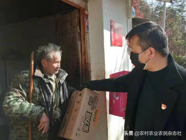 今日河南雞蛋行情深度解析與觀察