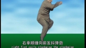 太極最新版本下載，時(shí)代技術(shù)結(jié)晶，全新體驗(yàn)等你來(lái)探索