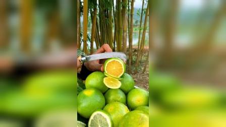 平湖最新資訊，城市脈動(dòng)與成長(zhǎng)見證