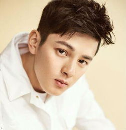 方齊苗最新個(gè)人資料揭秘，個(gè)人信息獲取與整理步驟指南