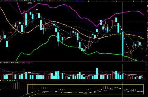 波動(dòng)行情與內(nèi)心寧?kù)o的探索之旅，自然美景下的心靈對(duì)話