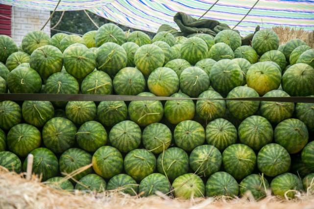 ＂澳門100%最準一肖＂的：快速實施解答研究_創(chuàng)意版3.38