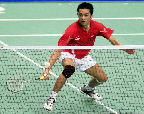 陶菲克羽毛球比賽視頻，觀看與學習指南