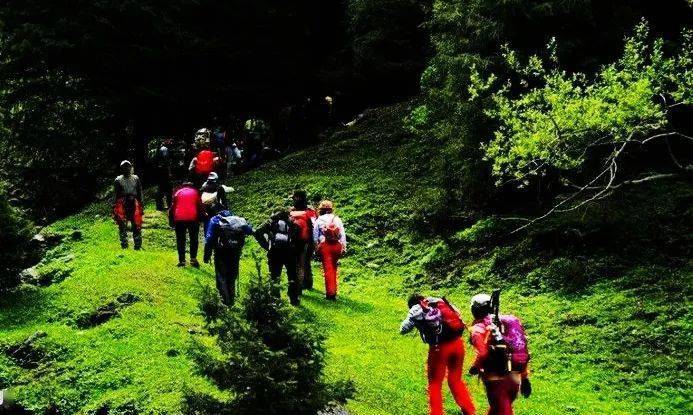 最新后峽動態(tài),最新后峽動態(tài)，發(fā)展與變化的深度探索