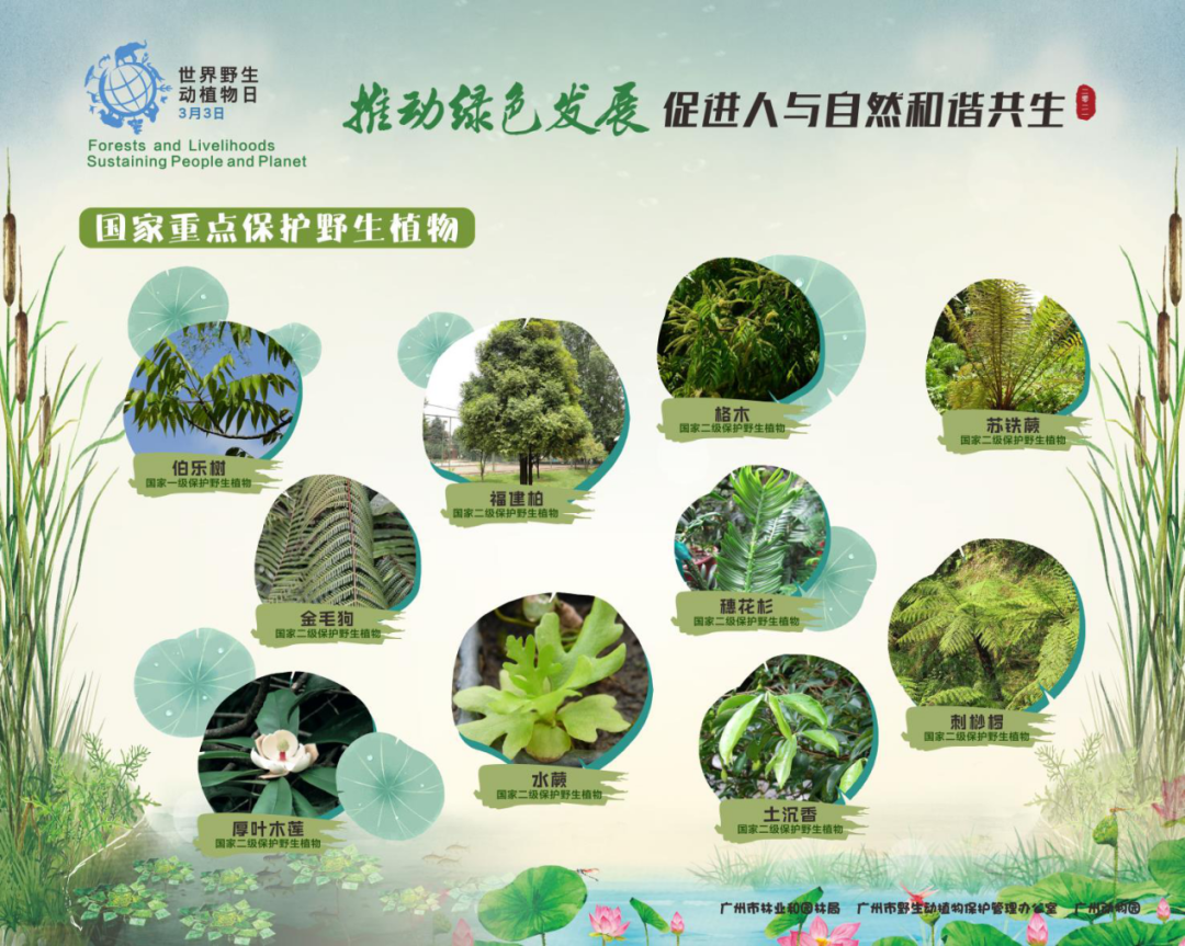 ＂0149開獎澳門網(wǎng)＂的：植物保護(hù)_見證版3.37