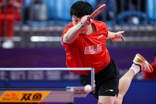 中國乒乓球明星的奮斗與榮耀，見證自信成就的力量之路