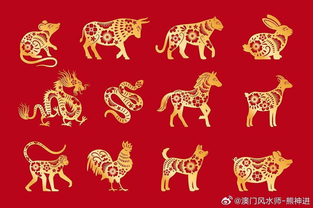 ＂2024年新澳門生肖走勢圖＂的：食品科學(xué)與工程_高效版4.25