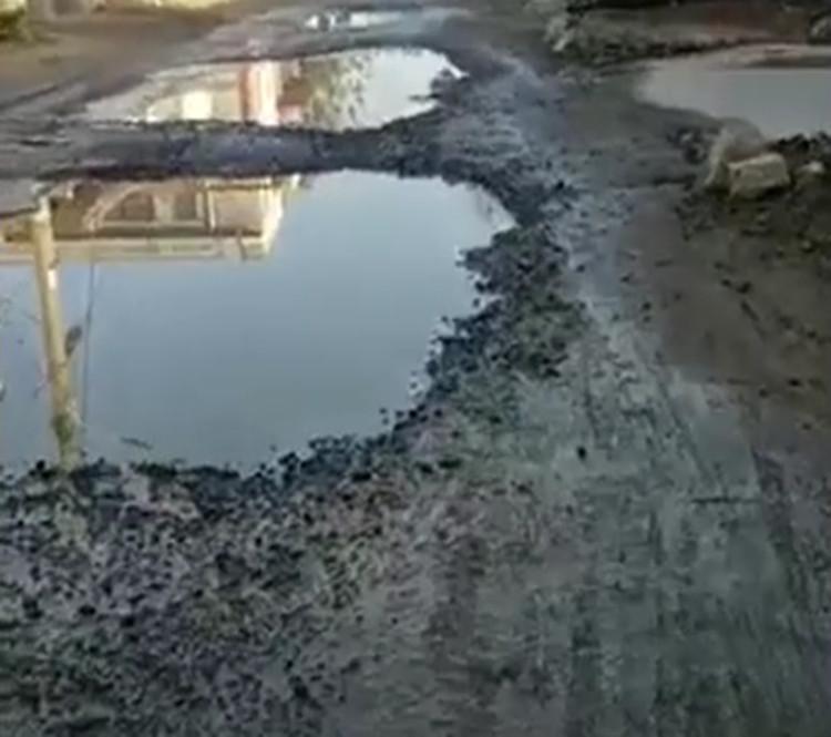 寧陽(yáng)最新招標(biāo)信息及小巷深處的獨(dú)特風(fēng)味揭秘