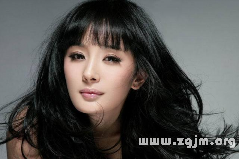 夢中之星奇遇，與明星的奇妙邂逅