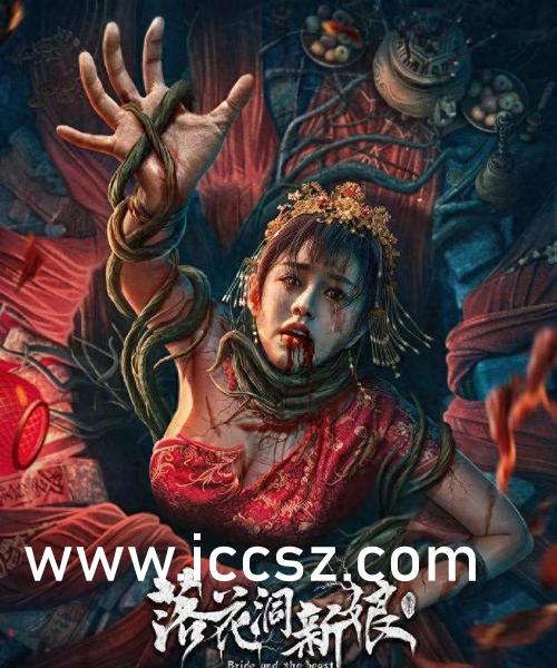 Seso最新資訊詳解，獲取與理解步驟指南