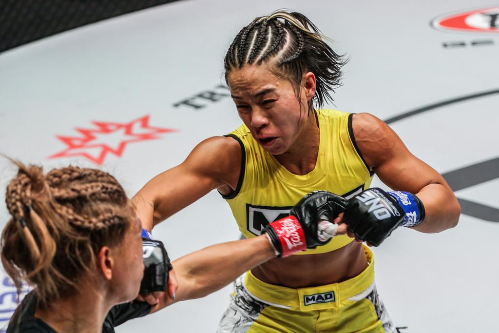 綜合格斗比賽，自然美景中的精神之旅對(duì)決