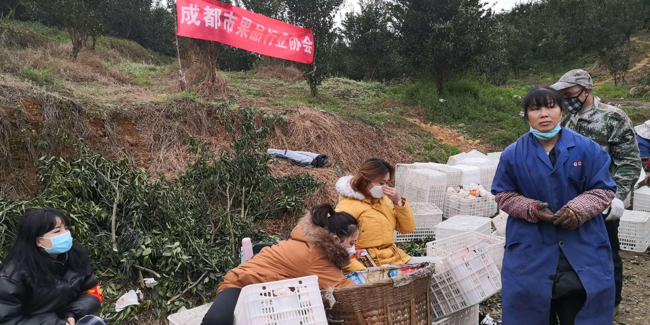 四川省疫情動(dòng)態(tài)最新情況更新