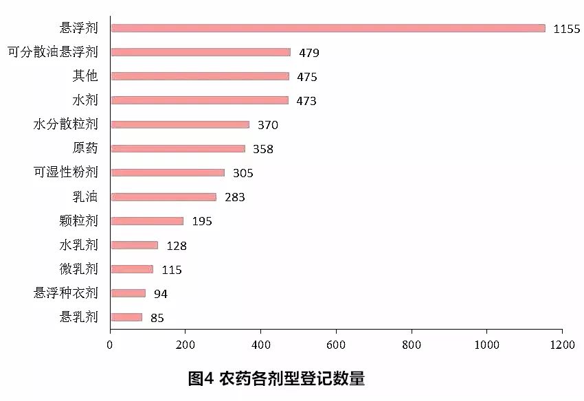 三七未來行情，自然美景中的旅行探索之旅