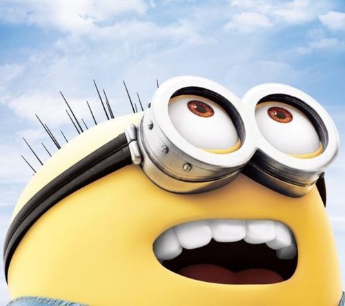 湖南下司犬最新上市，市場現(xiàn)象及各方觀點深度解析