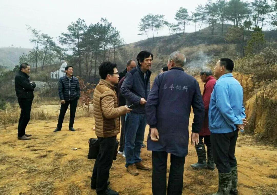 金牌調解精選，心靈與自然的完美邂逅