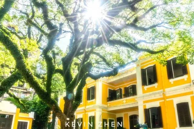 澳門(mén)答家婆一肖一馬一中一特,快速解答方案設(shè)計(jì)_知曉版14.534