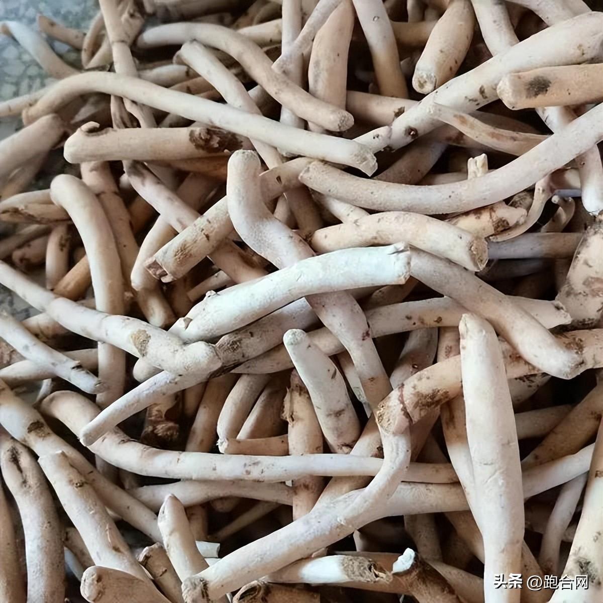 毫州藥材最新價格表，學(xué)習(xí)變化，成就自信之源