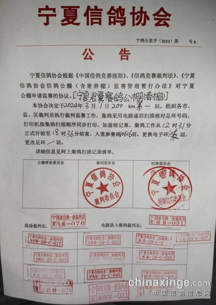 靈武信鴿協(xié)會最新公告發(fā)布，關(guān)注協(xié)會最新動態(tài)