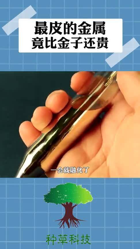 貴重金屬行情深度解析，市場趨勢(shì)與影響因素探討