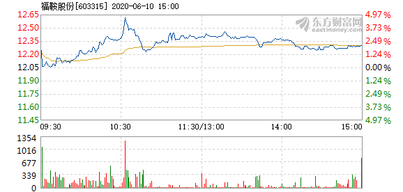 福鞍股票,福鞍股票——投資者的明智之選，開啟財富新篇章！