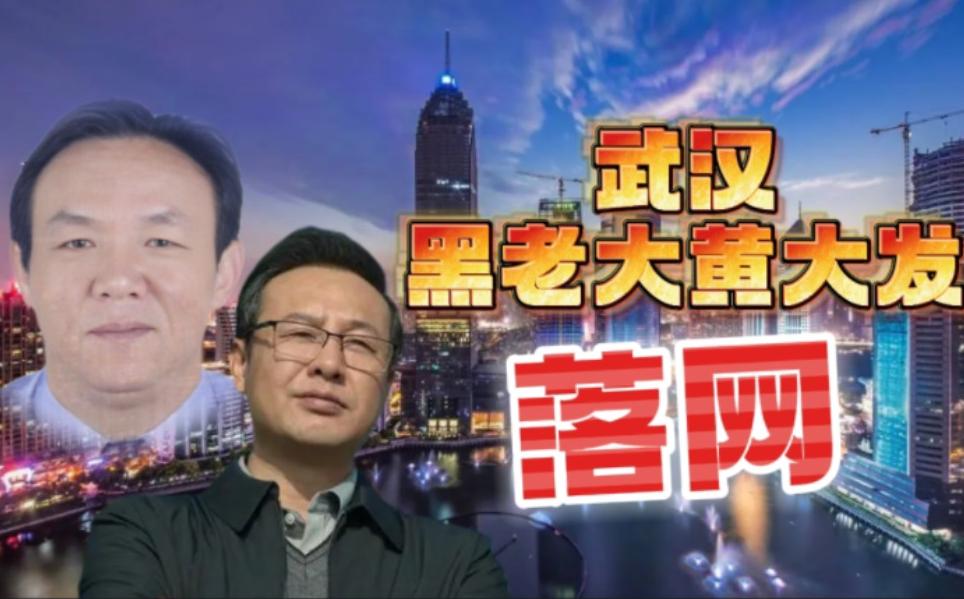 湖北涂勇最新動(dòng)態(tài)，擁抱自然，心靈寧?kù)o之旅探尋記