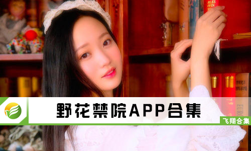 野花最新網(wǎng)址，網(wǎng)絡(luò)時(shí)代的獨(dú)特風(fēng)景探索