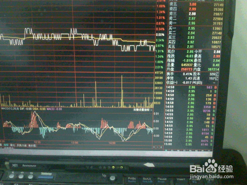 稀土股票行情，時代的投資焦點與股市動態(tài)捕捉