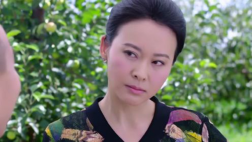 雙喜盈門演員，星光熠熠下的演技璀璨展現(xiàn)