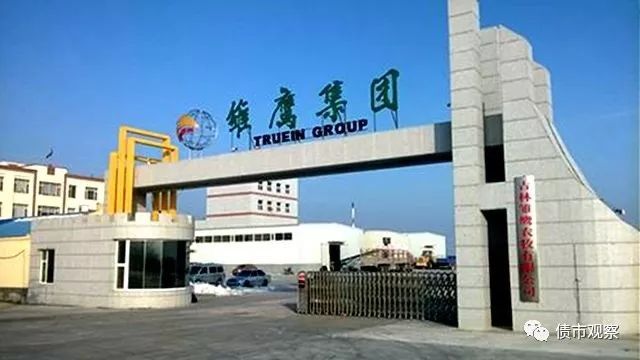 雛鷹農(nóng)牧最新動態(tài)，變革中的力量與自信成就感的崛起