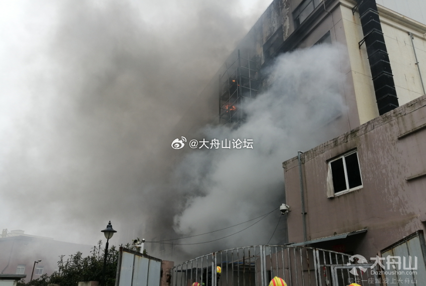 舟山火災最新動態(tài)，小巷深處的獨特煙火危機