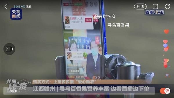 尋烏最新資訊深度解析，觀點闡述與最新動態(tài)報告