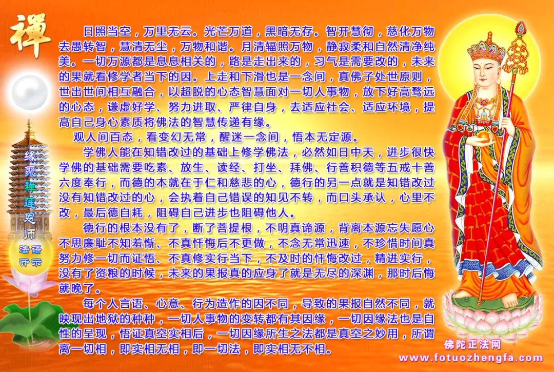 最新佛法開(kāi)示揭秘，小巷深處的禪意寶藏探尋