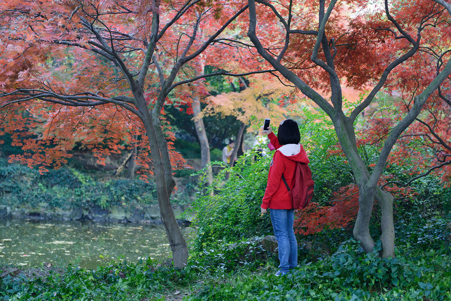 秋霞精選，電影藝術(shù)的獨特魅力及其深遠影響