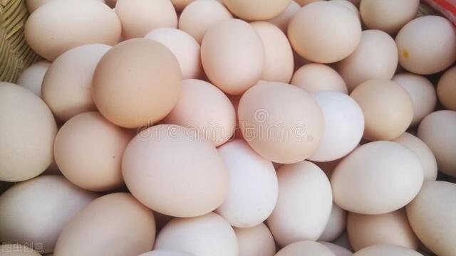 浙江雞蛋行情深度解析與預(yù)測報告