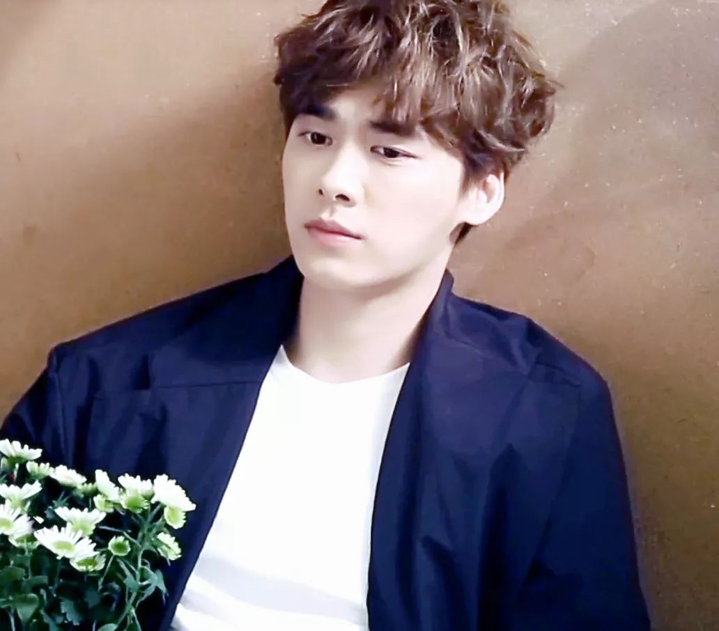 有耳鳴的明星,有耳鳴的明星，探索自然美景之旅，尋找內(nèi)心的寧?kù)o與平和