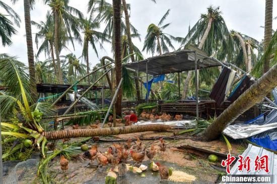 文昌臺風(fēng)最新消息,????文昌臺風(fēng)最新消息?????緊急通知！