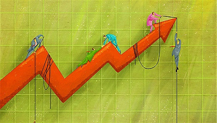 證金公司股票動(dòng)態(tài),證金公司股票動(dòng)態(tài)，一場(chǎng)自然美景的探索之旅