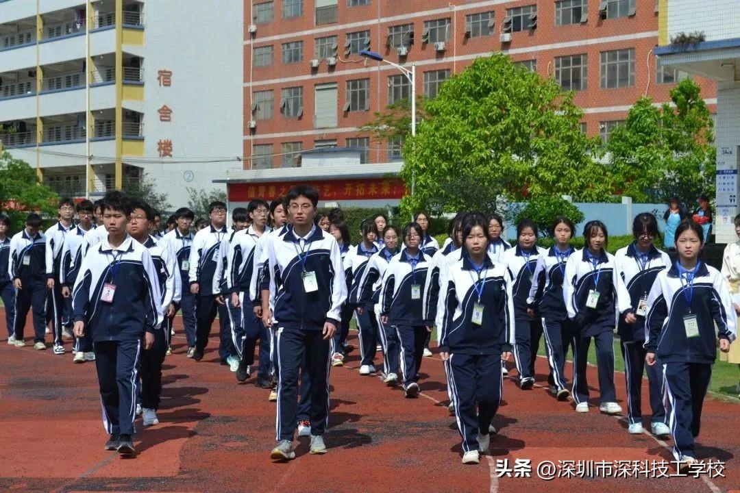 深寶安股票行情解析，前景分析與投資洞察