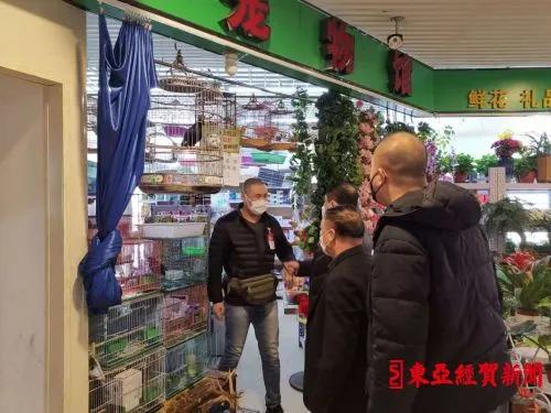 探索自然美景之旅，揭秘2017鷯哥銷售最新資訊，尋找內心的平靜與喜悅