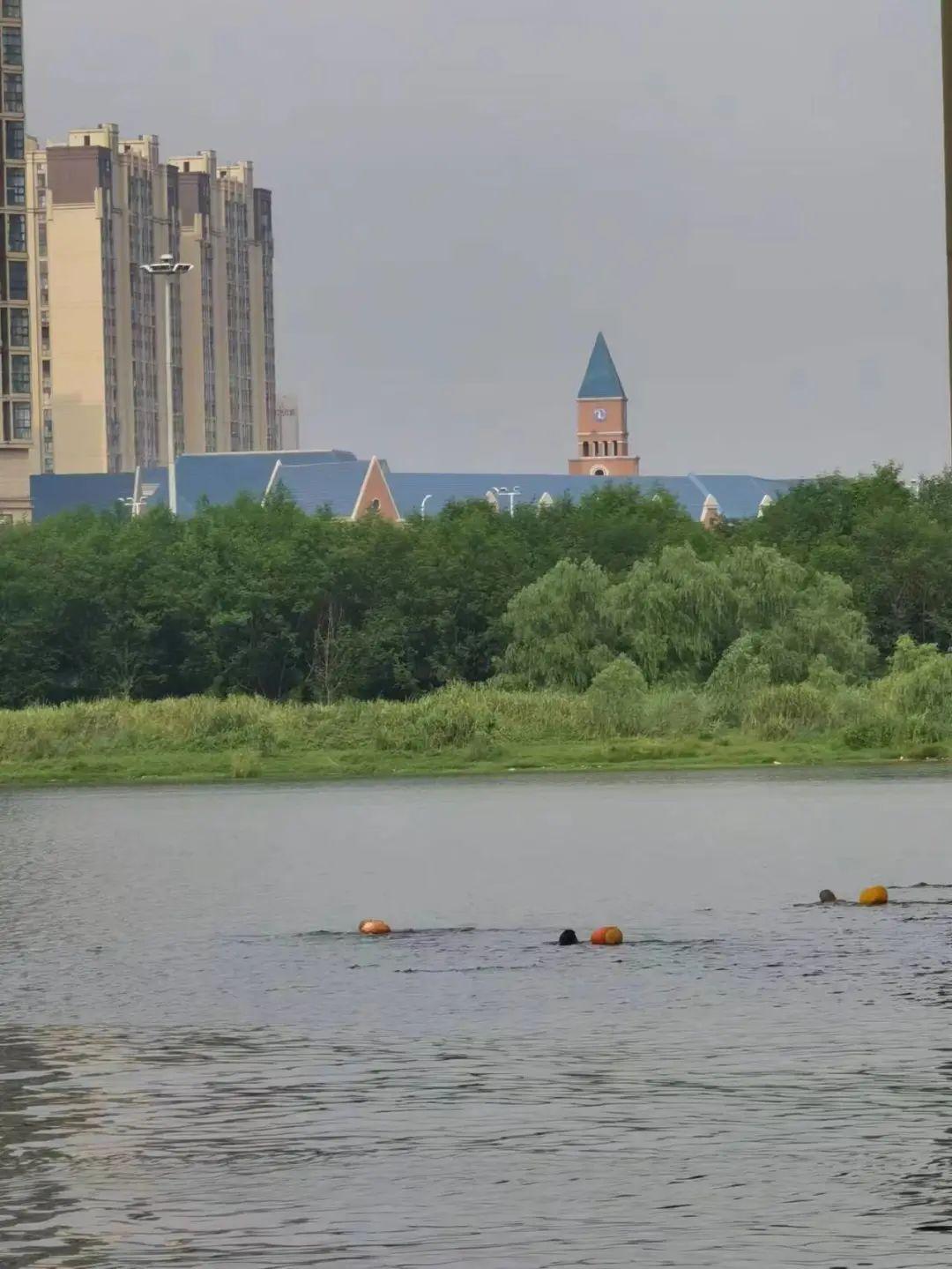 最新野泳之旅，自然美景的探索與愉悅體驗