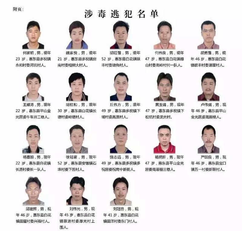 惠州最新通緝公告,惠州最新通緝公告，追逐變化，自信成就未來