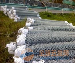 邊坡綠化網(wǎng)價格，時代變遷與行業(yè)進步的影響