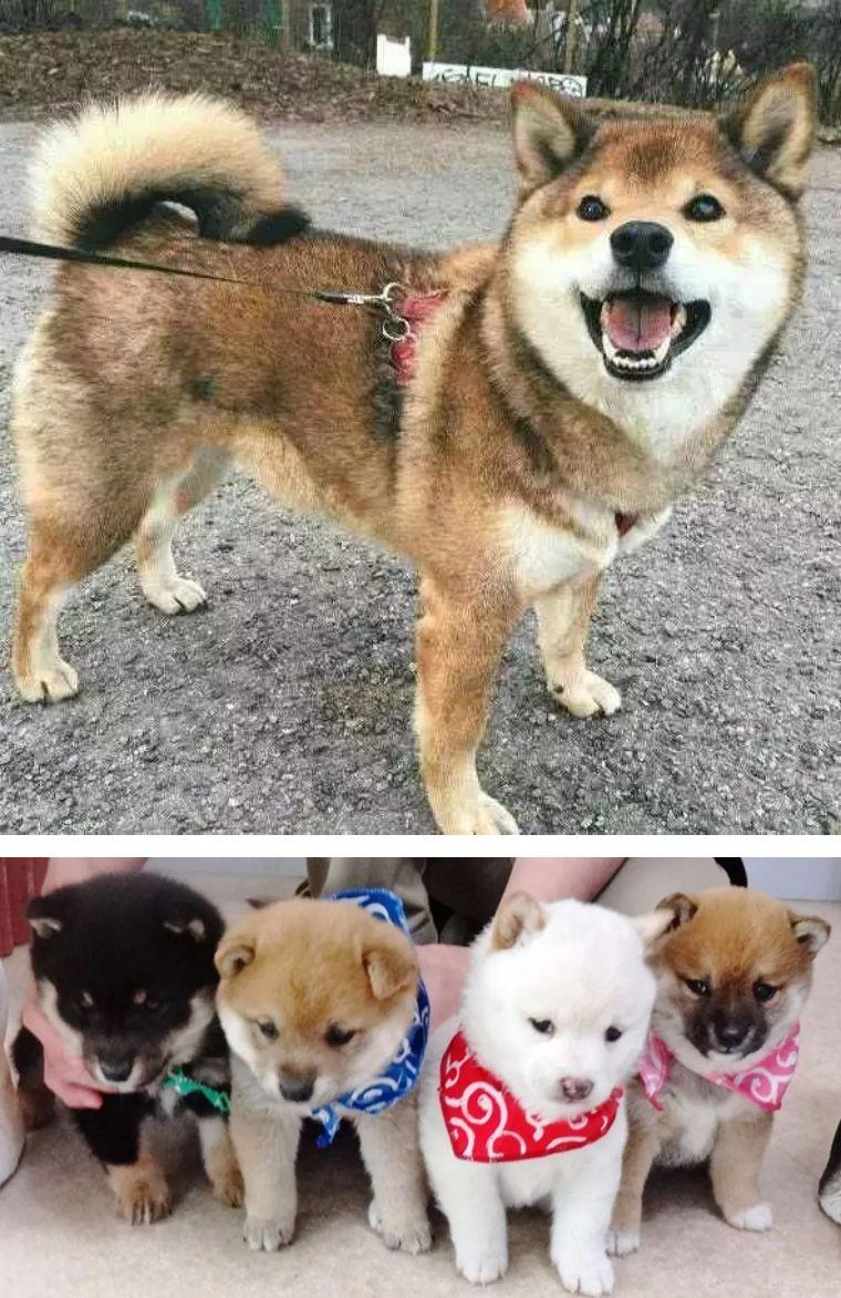 東京時尚風向標，探索日本最新潮流資訊