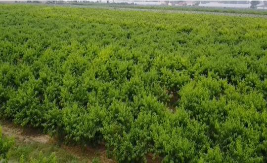 富平最新轉(zhuǎn)讓信息，變化中的機遇，成就感的源泉，自信閃耀時刻