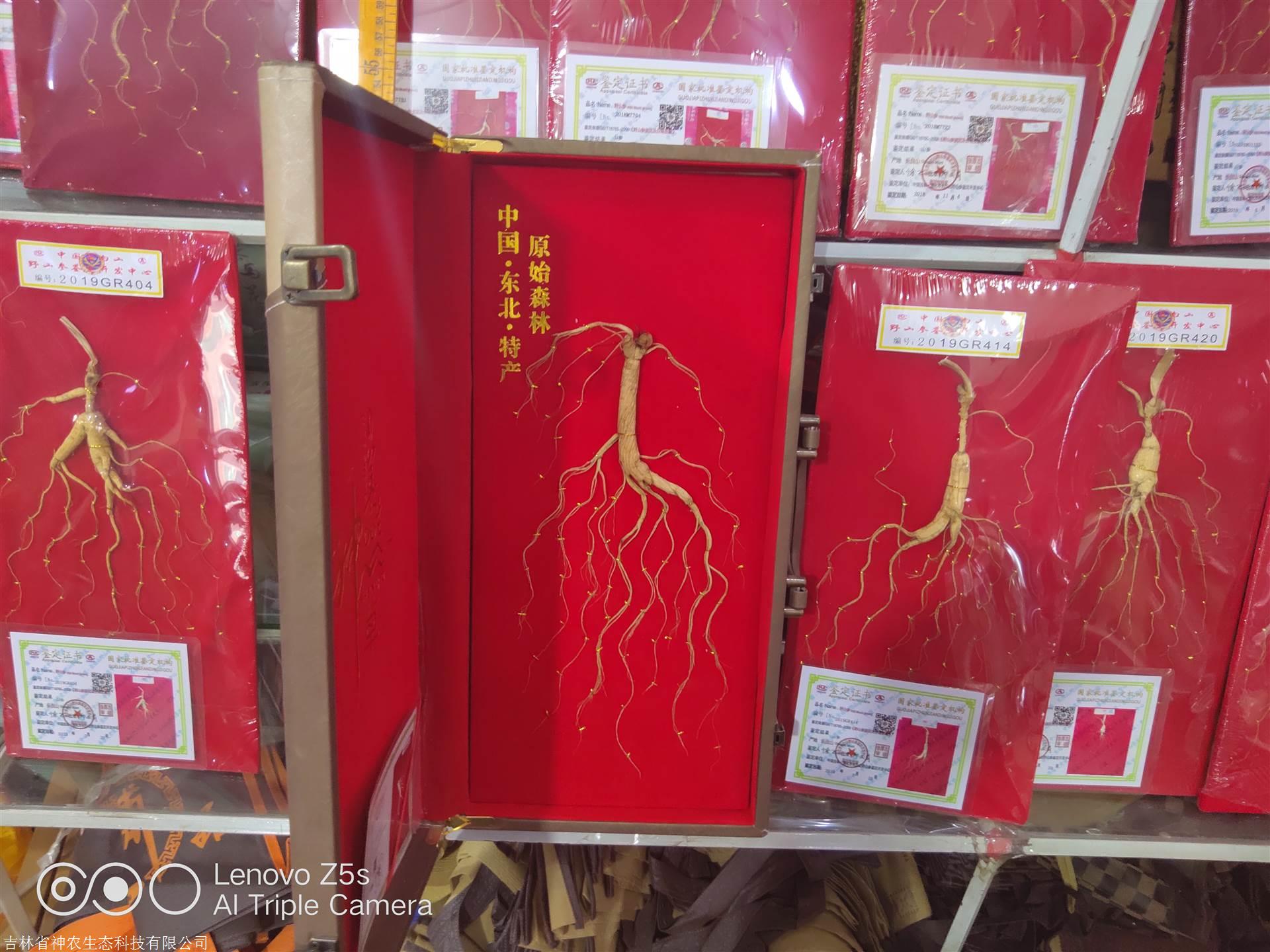 人參價(jià)格解析，市場(chǎng)走勢(shì)、品質(zhì)差異及影響因素深度探討