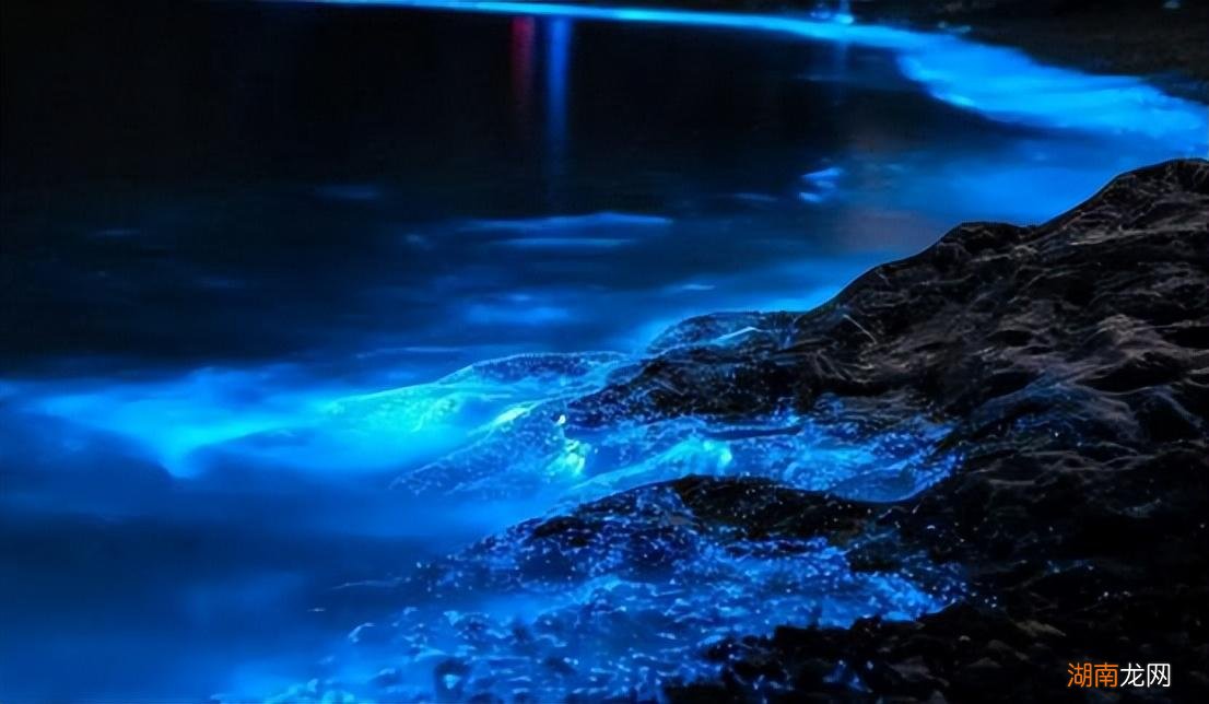 最新藍(lán)眼淚現(xiàn)象，尋找內(nèi)心平靜的奇妙旅程