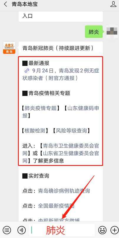 青島最新動態(tài)，多維度視角下的城市發(fā)展探析